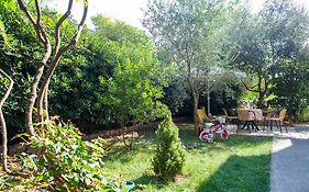 Apartments & Rooms Jelka